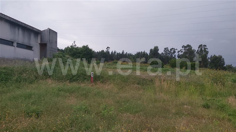 Lote  Póvoa de Lanhoso, Águas Santas e Moure - 1411200 - 5