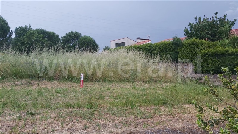 Lote  Póvoa de Lanhoso, Águas Santas e Moure - 1411599 - 4