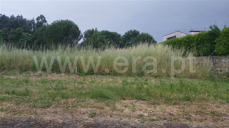 Lote  Póvoa de Lanhoso, Águas Santas e Moure - 1411599 - 5
