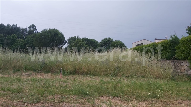 Lote  Póvoa de Lanhoso, Águas Santas e Moure - 1411599 - 7