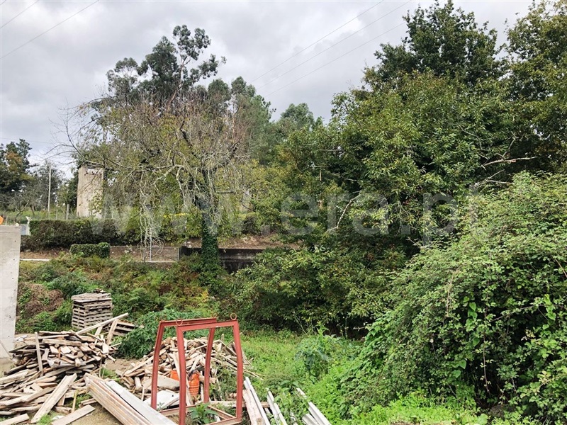 Lote  Póvoa de Lanhoso, Fonte Arcada e Oliveira - 1127474 - 1