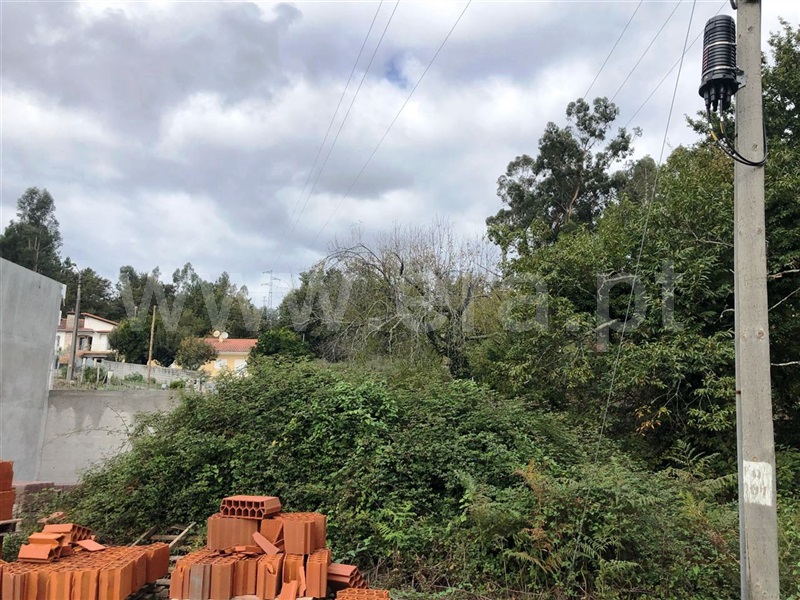 Lote  Póvoa de Lanhoso, Fonte Arcada e Oliveira - 1127474 - 4