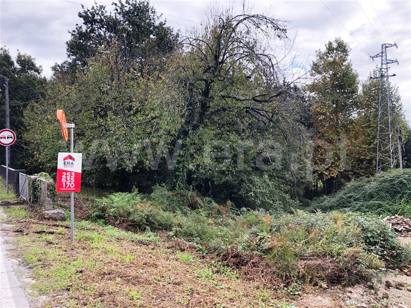 Lote  Póvoa de Lanhoso, Fonte Arcada e Oliveira - 1127474 - 6