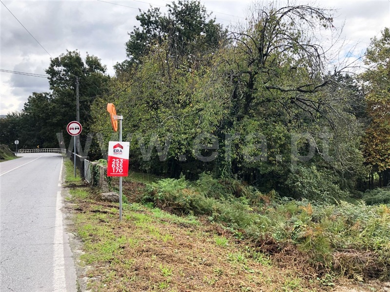 Lote  Póvoa de Lanhoso, Fonte Arcada e Oliveira - 1127474 - 7
