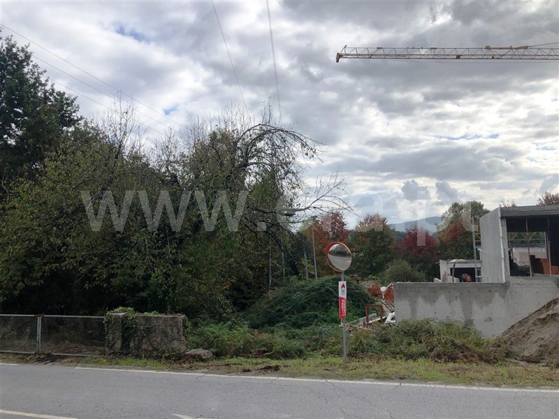 Lote  Póvoa de Lanhoso, Fonte Arcada e Oliveira - 1127474 - 11