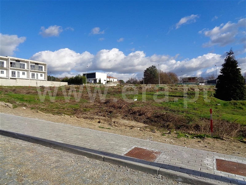 Lote  Póvoa de Lanhoso, Fonte Arcada e Oliveira - 981088 - 3