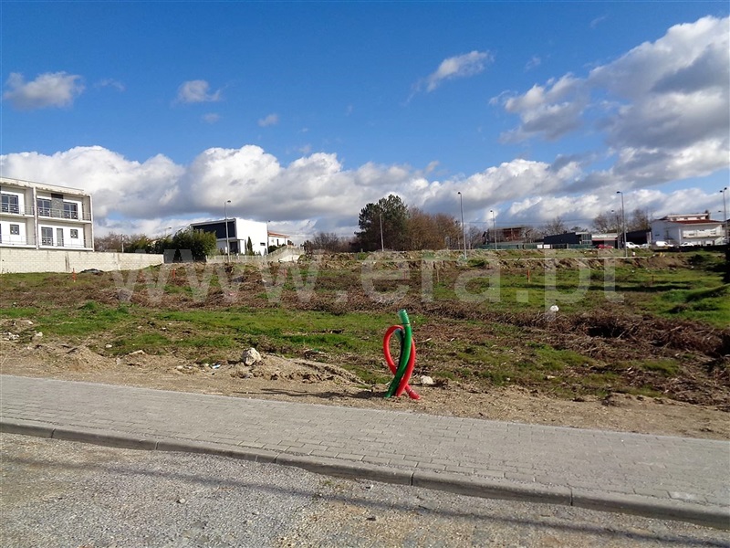 Lote / Póvoa de Lanhoso, Fonte Arcada e Oliveira