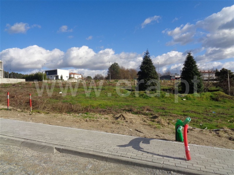 Lote  Póvoa de Lanhoso, Fonte Arcada e Oliveira - 981088 - 2