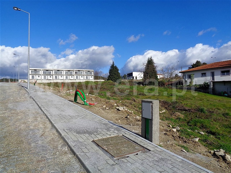 Lote / Póvoa de Lanhoso, Fonte Arcada e Oliveira