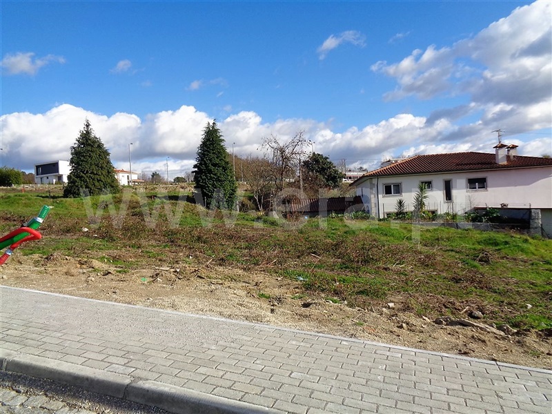 Lote / Póvoa de Lanhoso, Fonte Arcada e Oliveira