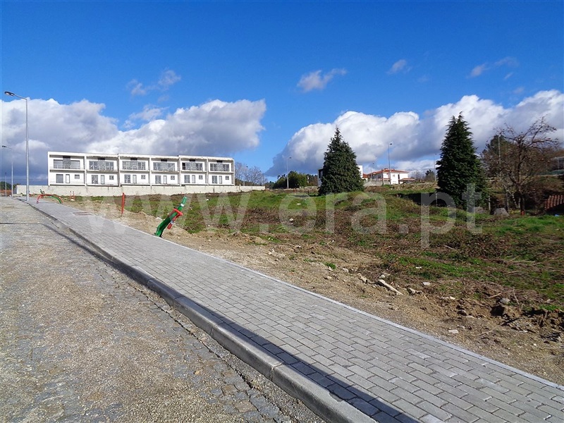 Lote  Póvoa de Lanhoso, Fonte Arcada e Oliveira - 981122 - 4