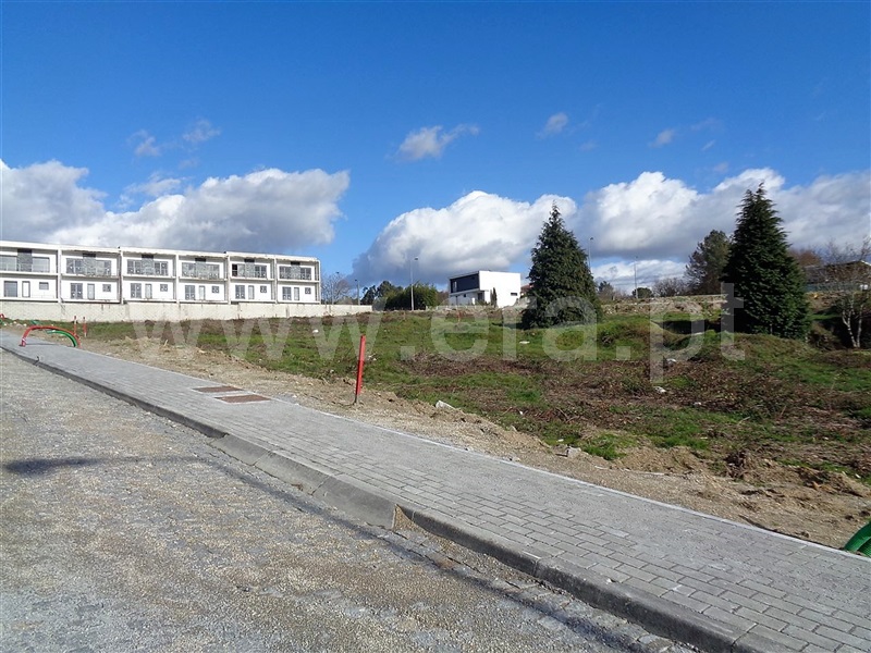 Lote  Póvoa de Lanhoso, Fonte Arcada e Oliveira - 981122 - 5