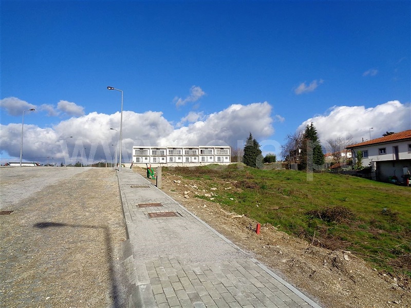 Lote / Póvoa de Lanhoso, Fonte Arcada e Oliveira