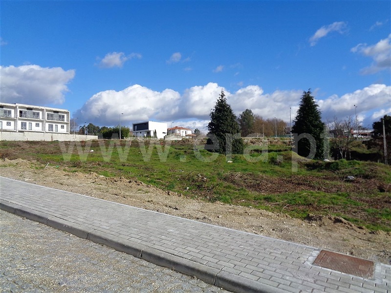 Lote  Póvoa de Lanhoso, Fonte Arcada e Oliveira - 981125 - 4