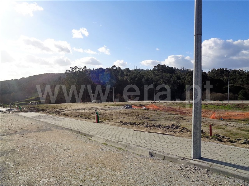 Lote / Póvoa de Lanhoso, Fonte Arcada e Oliveira