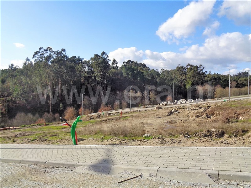 Lote  Póvoa de Lanhoso, Fonte Arcada e Oliveira - 981189 - 5