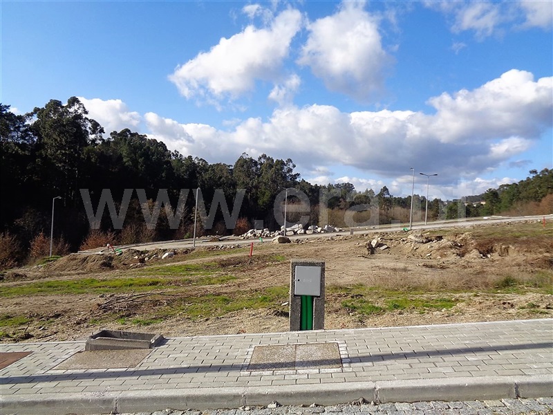 Lote  Póvoa de Lanhoso, Fonte Arcada e Oliveira - 981189 - 6