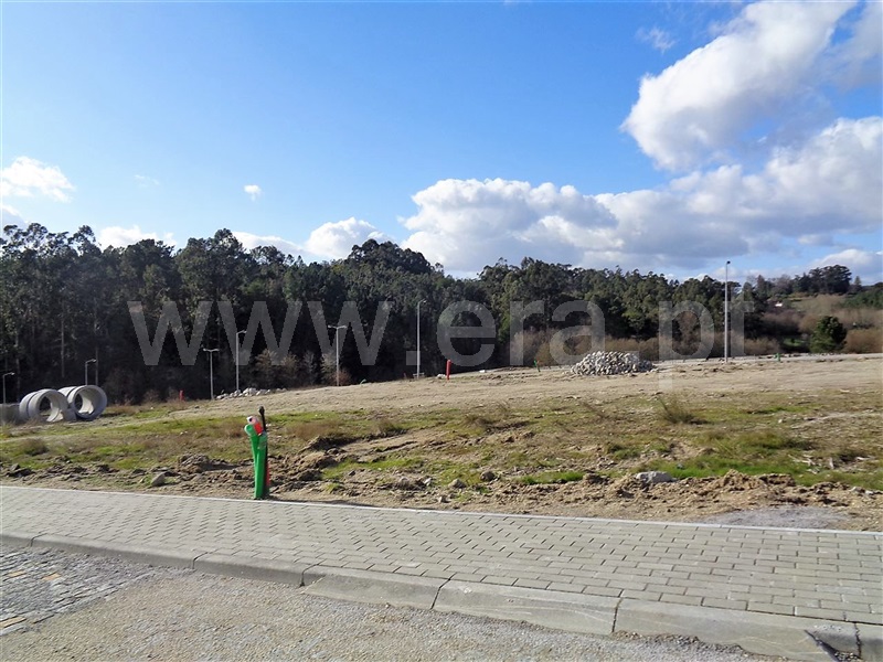Lote / Póvoa de Lanhoso, Fonte Arcada e Oliveira