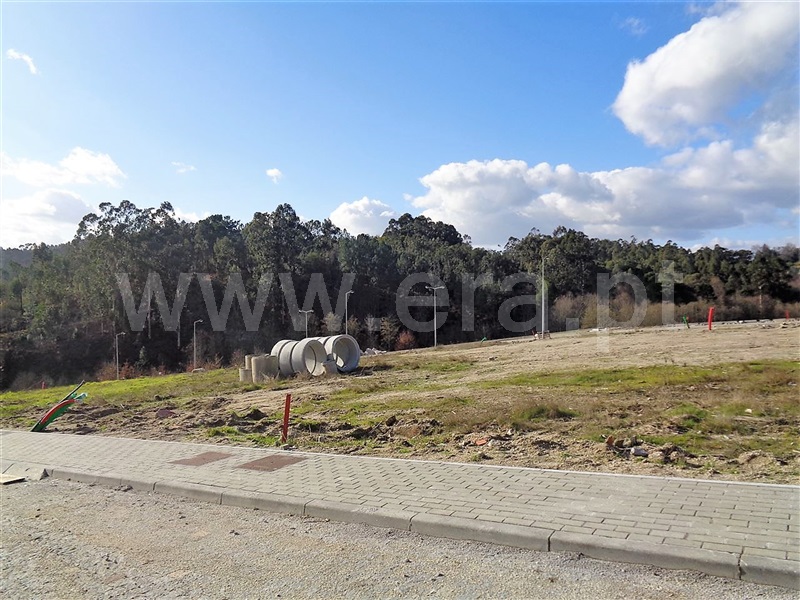 Lote  Póvoa de Lanhoso, Fonte Arcada e Oliveira - 981196 - 3