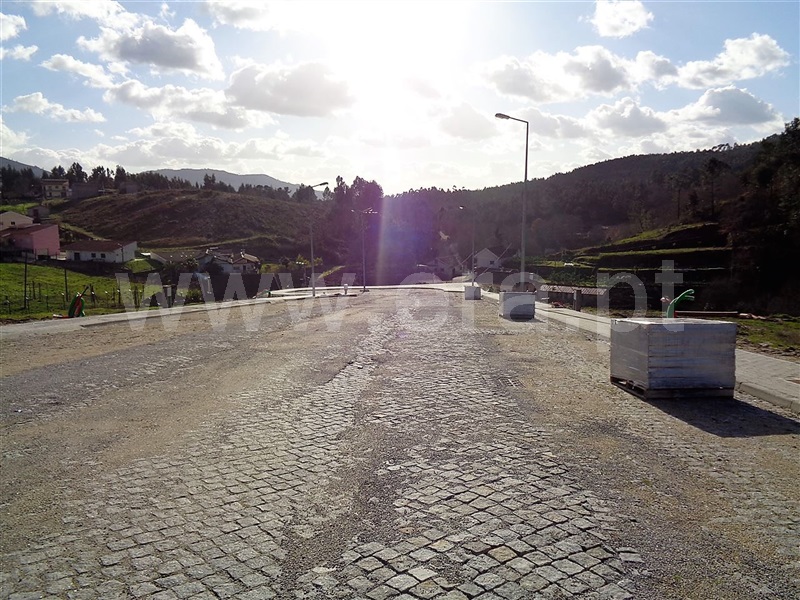 Lote  Póvoa de Lanhoso, Fonte Arcada e Oliveira - 981196 - 11