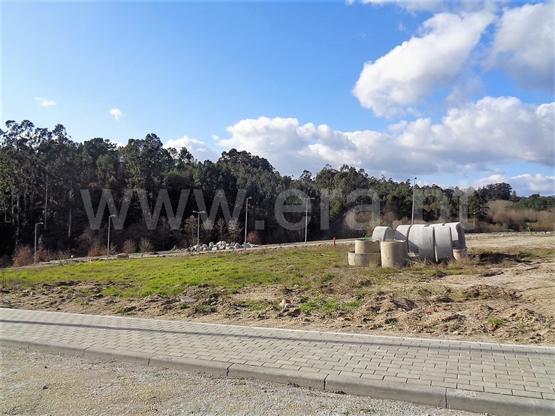 Lote  Póvoa de Lanhoso, Fonte Arcada e Oliveira - 981203 - 4