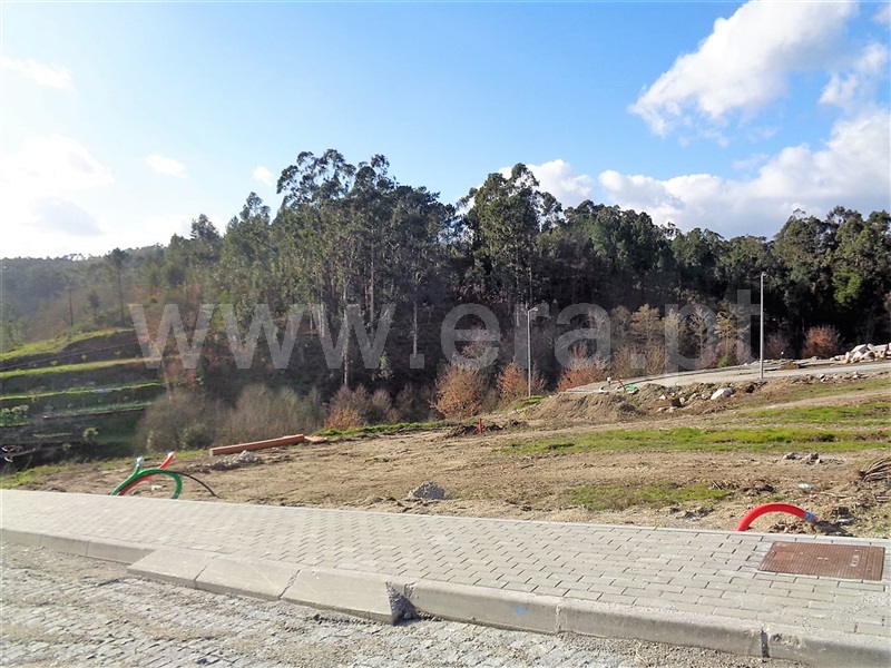 Lote  Póvoa de Lanhoso, Fonte Arcada e Oliveira - 981203 - 7