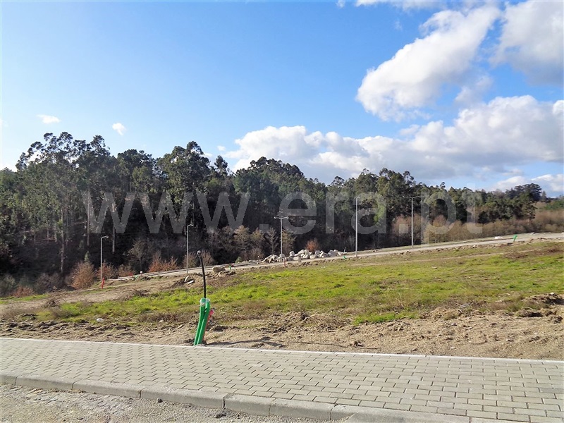 Lote  Póvoa de Lanhoso, Fonte Arcada e Oliveira - 981203 - 8