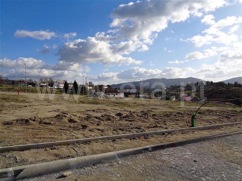 Lote / Póvoa de Lanhoso, Fonte Arcada e Oliveira