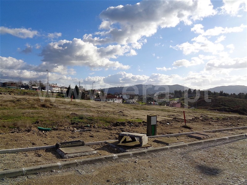 Lote  Póvoa de Lanhoso, Fonte Arcada e Oliveira - 981204 - 2