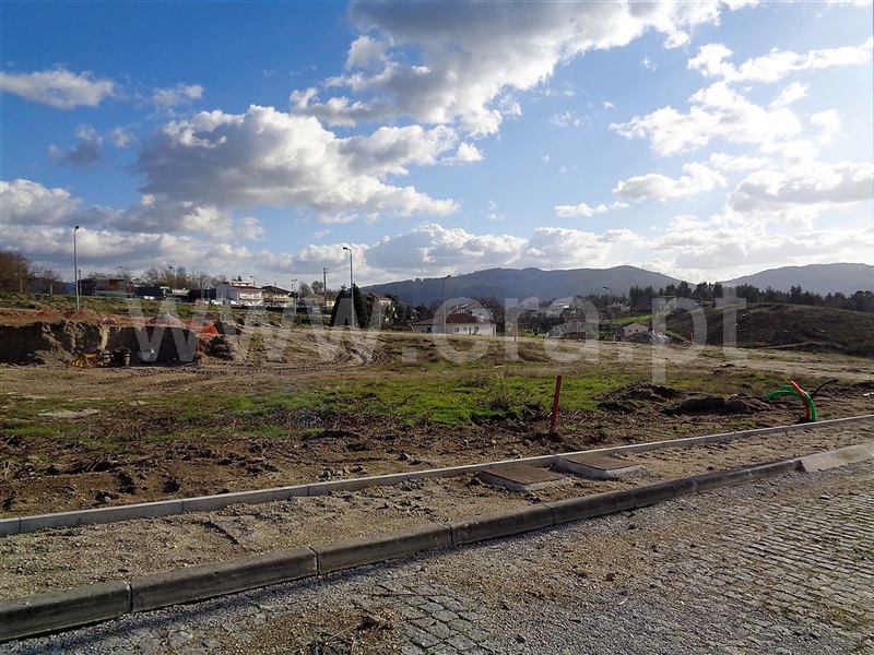 Lote  Póvoa de Lanhoso, Fonte Arcada e Oliveira - 981204 - 3