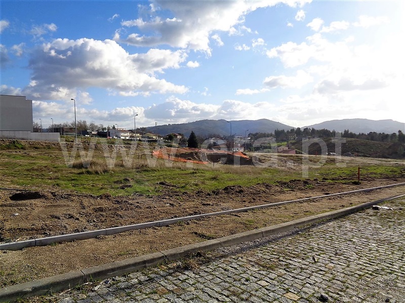 Lote  Póvoa de Lanhoso, Fonte Arcada e Oliveira - 981204 - 4