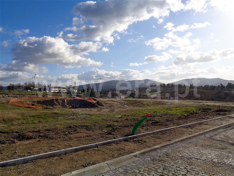 Lote  Póvoa de Lanhoso, Fonte Arcada e Oliveira - 981204 - 5