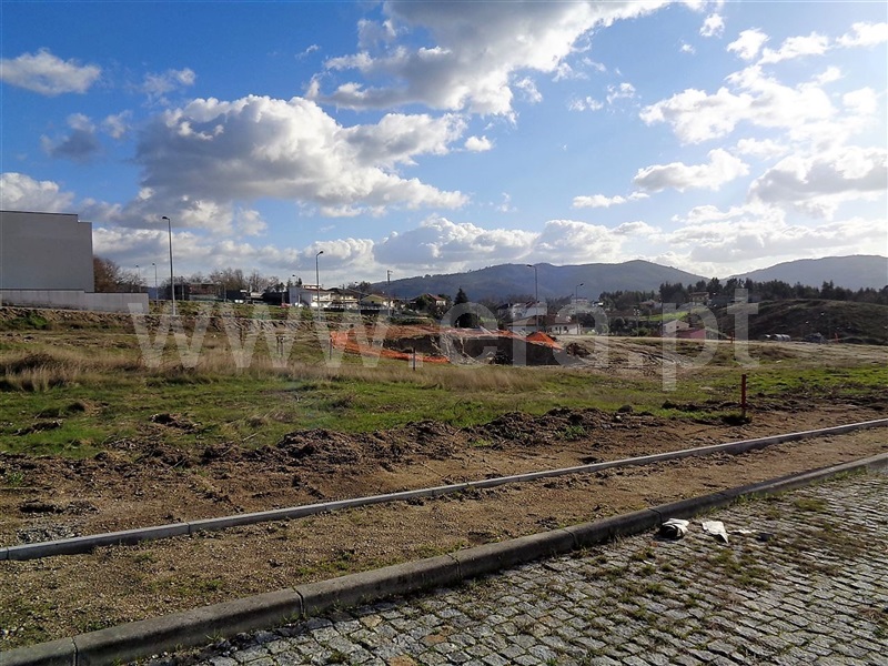 Lote  Póvoa de Lanhoso, Fonte Arcada e Oliveira - 981204 - 6