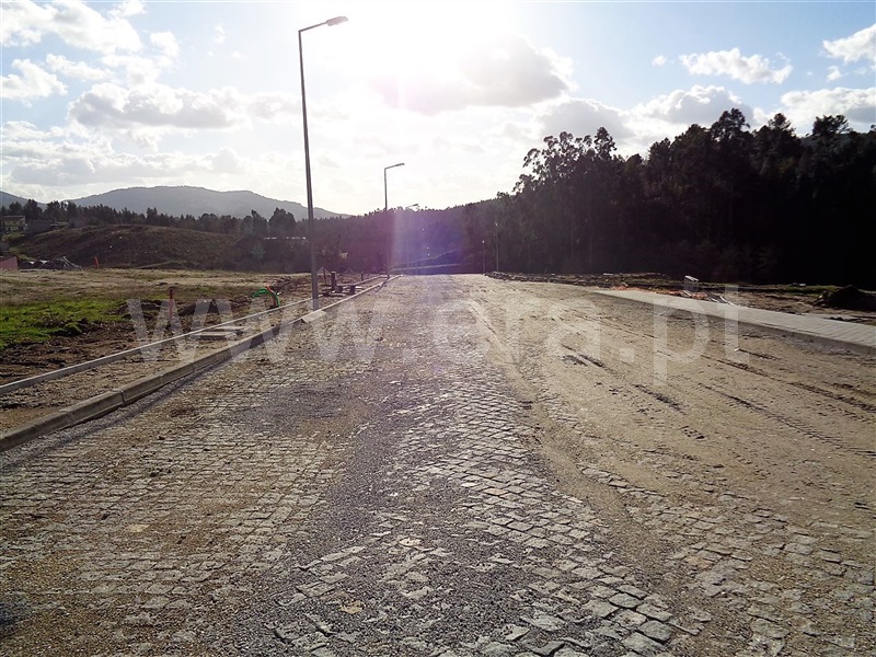 Lote  Póvoa de Lanhoso, Fonte Arcada e Oliveira - 981204 - 7
