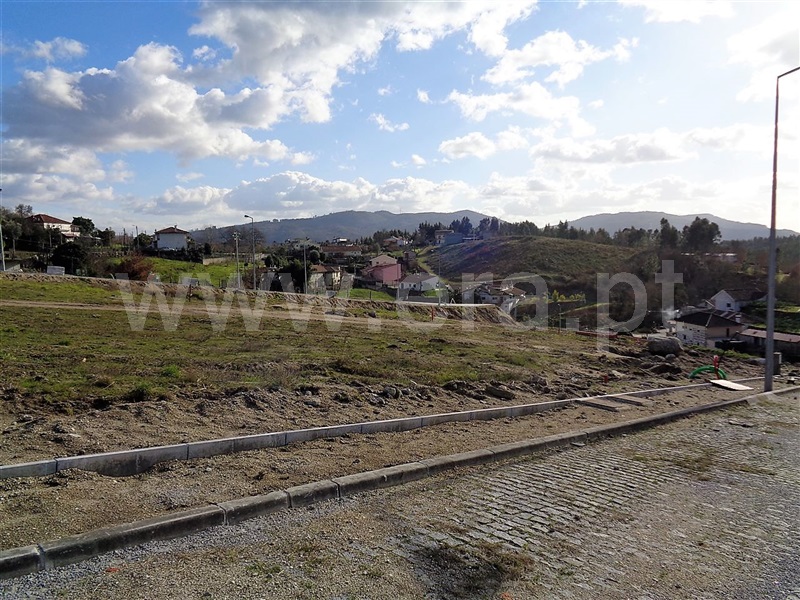 Lote / Póvoa de Lanhoso, Fonte Arcada e Oliveira