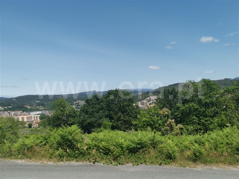 Lote / Póvoa de Lanhoso, Galegos