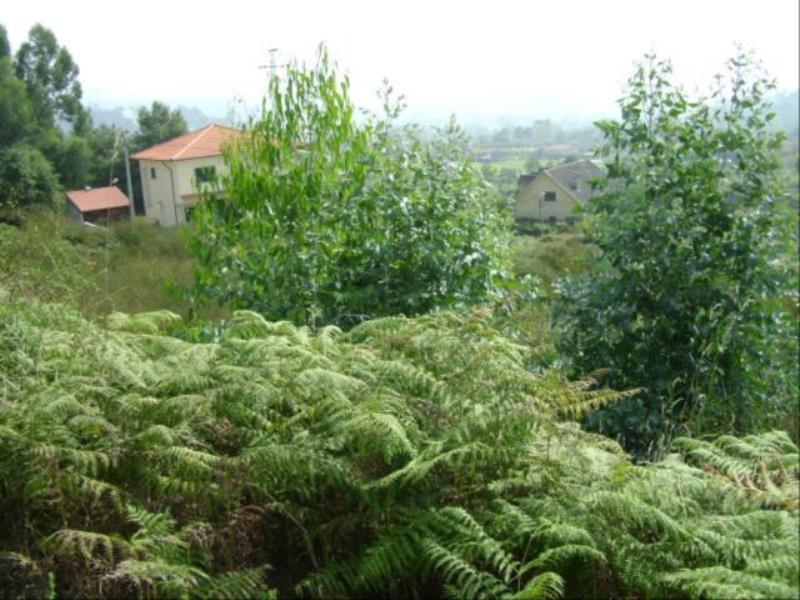 Lote  Póvoa de Lanhoso, Lanhoso - 64018 - 4