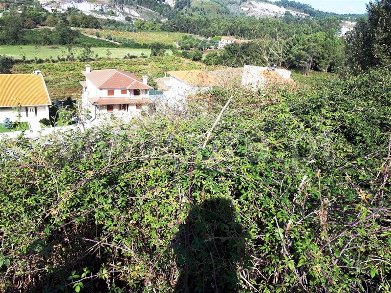 Lote  Póvoa de Lanhoso, Póvoa de Lanhoso (Nossa Senhora do Amparo) - 1120397 - 4