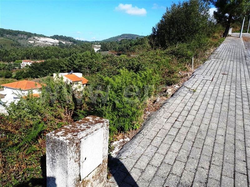 Lote  Póvoa de Lanhoso, Póvoa de Lanhoso (Nossa Senhora do Amparo) - 1120397 - 7