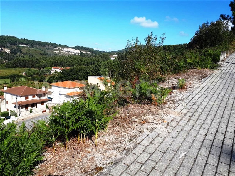 Lote  Póvoa de Lanhoso, Póvoa de Lanhoso (Nossa Senhora do Amparo) - 1120397 - 8