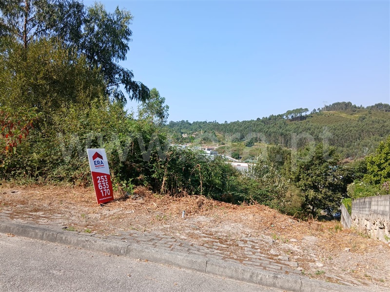 Lote  Póvoa de Lanhoso, Póvoa de Lanhoso (Nossa Senhora do Amparo) - 1498367 - 2