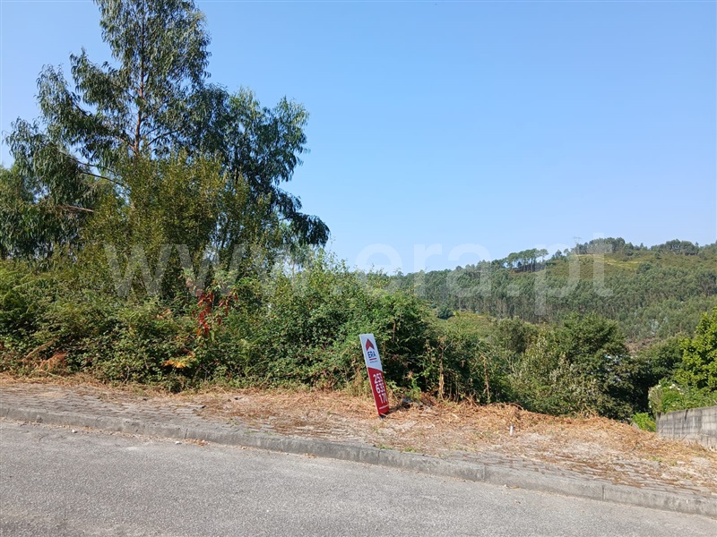 Lote  Póvoa de Lanhoso, Póvoa de Lanhoso (Nossa Senhora do Amparo) - 1498367 - 3