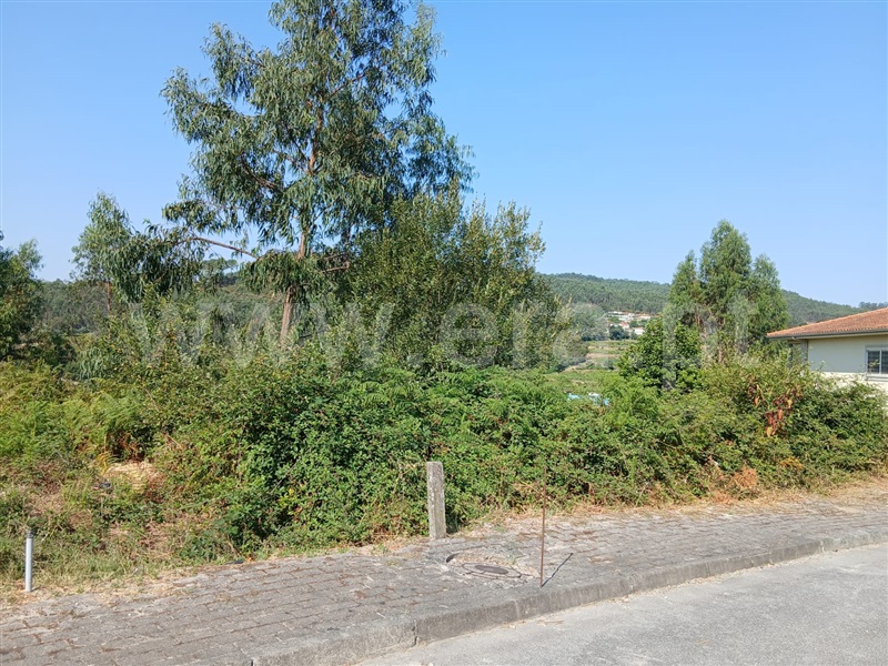 Lote  Póvoa de Lanhoso, Póvoa de Lanhoso (Nossa Senhora do Amparo) - 1498367 - 4
