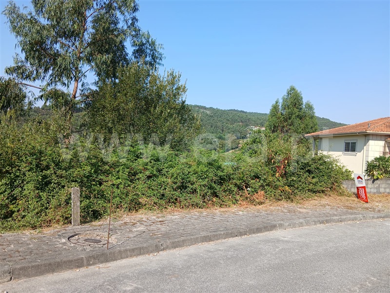 Lote  Póvoa de Lanhoso, Póvoa de Lanhoso (Nossa Senhora do Amparo) - 1498367 - 6