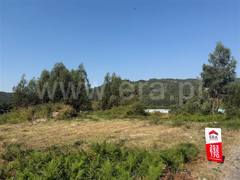 Lote / Póvoa de Lanhoso, Póvoa de Lanhoso (Nossa Senhora do Amparo)