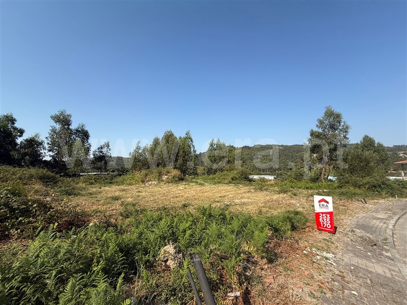 Lote  Póvoa de Lanhoso, Póvoa de Lanhoso (Nossa Senhora do Amparo) - 1498375 - 2