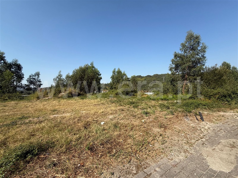 Lote  Póvoa de Lanhoso, Póvoa de Lanhoso (Nossa Senhora do Amparo) - 1498375 - 3