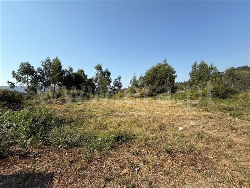 Lote  Póvoa de Lanhoso, Póvoa de Lanhoso (Nossa Senhora do Amparo) - 1498375 - 5