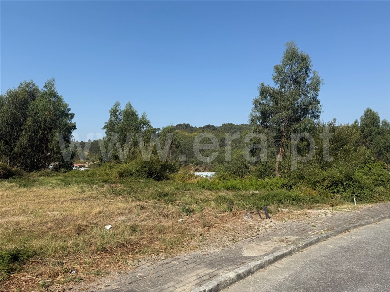 Lote  Póvoa de Lanhoso, Póvoa de Lanhoso (Nossa Senhora do Amparo) - 1498375 - 6