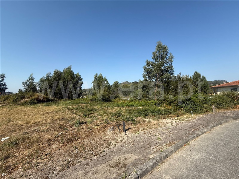Lote  Póvoa de Lanhoso, Póvoa de Lanhoso (Nossa Senhora do Amparo) - 1498375 - 10